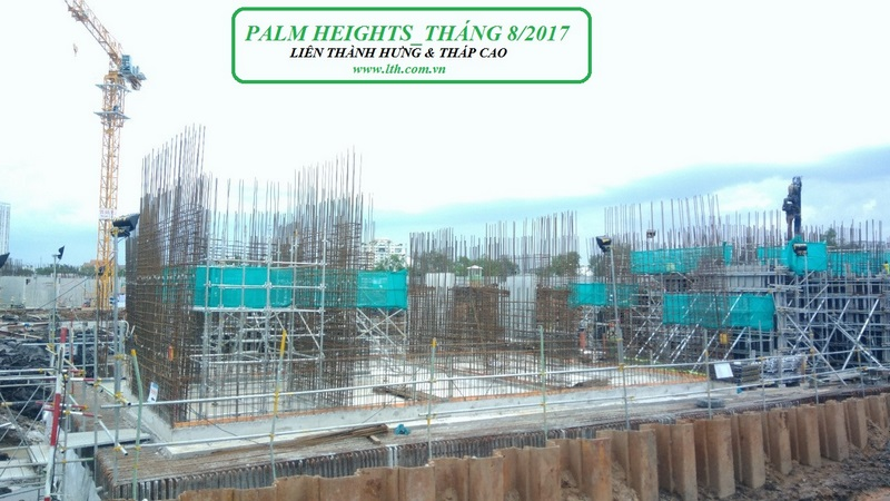 PALM HEIGHTS: NGÀY NẮNG ĐẸP